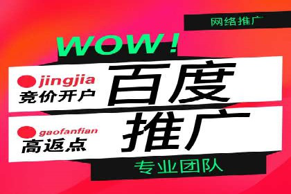 百度推广全解析：某公司如何通过推广获得高流量